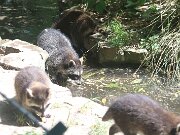 IMG_9311