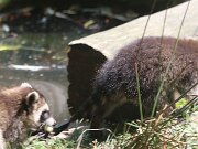 IMG_9312
