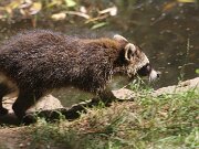IMG_9315