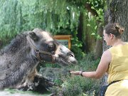 IMG_9318