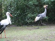 IMG_0002