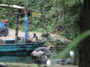 IMG_0007