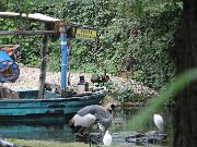 IMG_0008