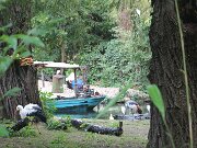 IMG_0010