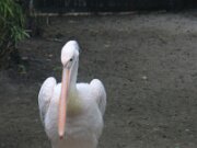IMG_0014