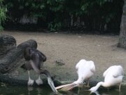 IMG_0015