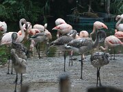 IMG_0020