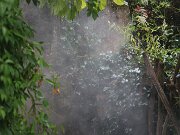 IMG_0021
