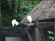 IMG_0022