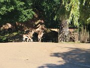 IMG_0007