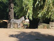 IMG_0008