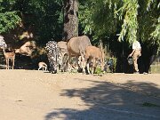 IMG_0009