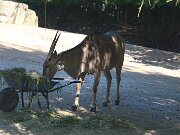 IMG_0013
