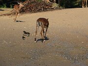 IMG_0014