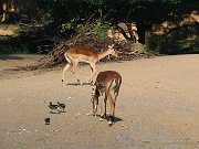 IMG_0015