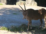IMG_0019