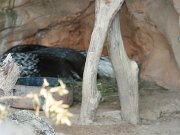 IMG_5762