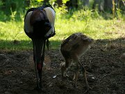 IMG_5765