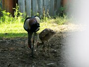 IMG_5766