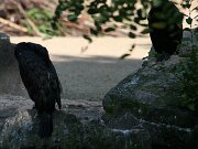 IMG_5767