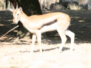 IMG_5770