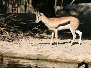 IMG_5771