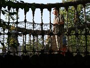 IMG_5774