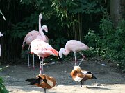 IMG_5776