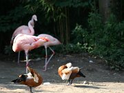 IMG_5777