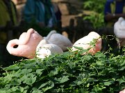 IMG_5779