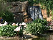 IMG_5780