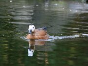 IMG_5783