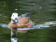 IMG_5784
