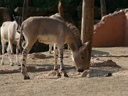 IMG_5786