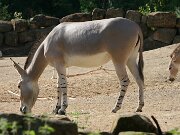 IMG_5787