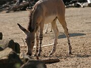 IMG_5788