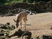 IMG_5789