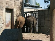IMG_6558