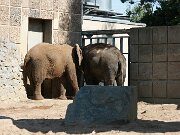 IMG_6559