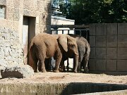 IMG_6561