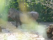 IMG_6563