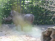 IMG_6564