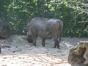 IMG_6565