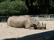 IMG_6567
