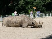 IMG_6568