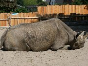 IMG_6569