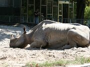 IMG_6570