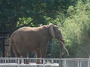 IMG_6571