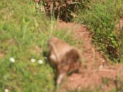 IMG_0003