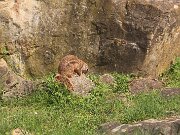 IMG_0004